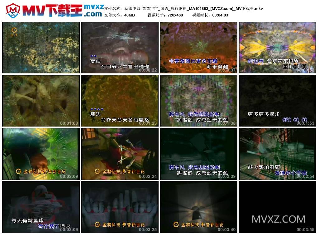 动感电音-花花宇宙_国语_流行歌曲_MA101882